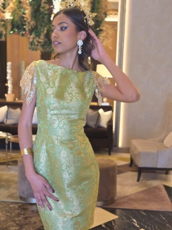 MajesRc knee length dress with fine prints and lace arms